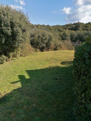 Apartamento Appartement Blue Fish