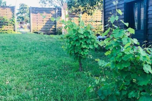 La Cabane Des Vignes Avec Spa Nordique