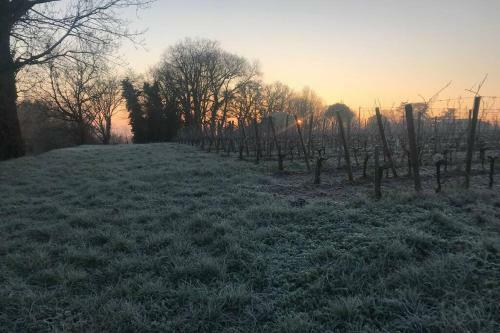 La Cabane Des Vignes Avec Spa Nordique