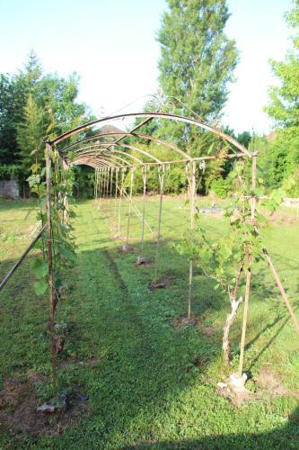 Hostal Le Domaine D'elisabeth