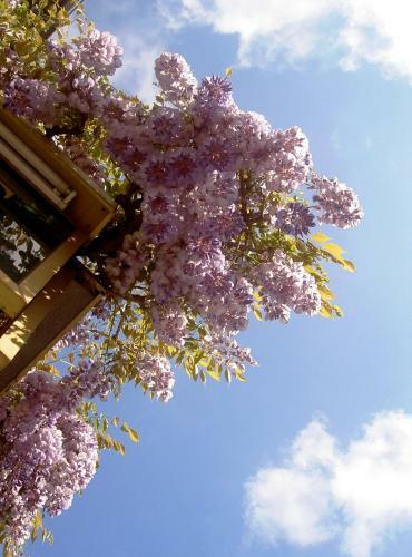 Hostal Chambre D'h�tes De Le Halle