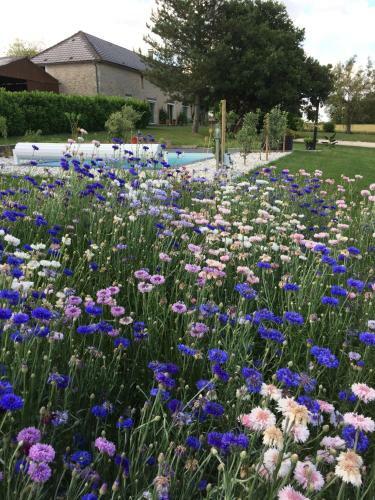 G�te Des Pas De Renards