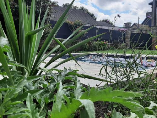 Hostal Maison D'h�tes L'�vidence