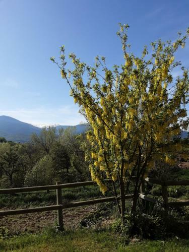 Bed & Breakfast Mas Rondole - Chambres D'h�tes