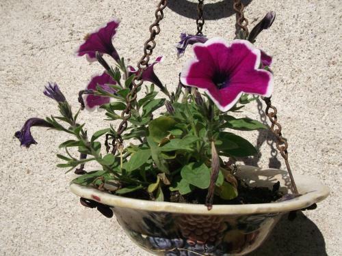 Bed & Breakfast Hote Du Couzan