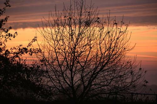 Bed & Breakfast Couloumine Breizh
