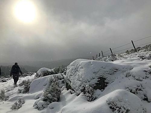 Retour � L'essentiel Dans Le Parc National