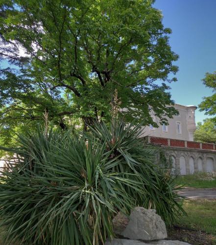 Hostal Ch�teau De Fabiargues