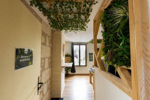 Apartamento Monteverde - Domaine Tropical