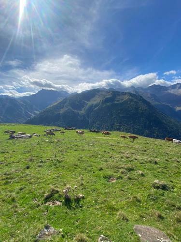 Apartamento Studio Au Coeur De La Station De Ski