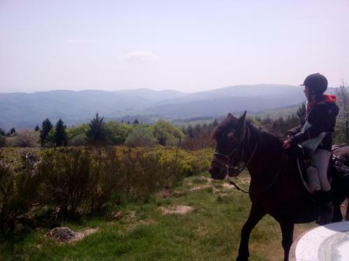 Bed & Breakfast Chambres D'h�tes �quin'ox