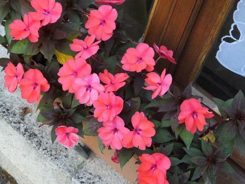 Bed & Breakfast La Retraite - Brantome