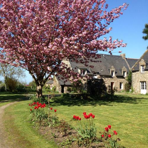Hostal Maison D'h�tes "bienlivien"