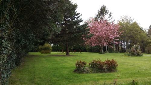 Hostal Maison D'h�tes "bienlivien"