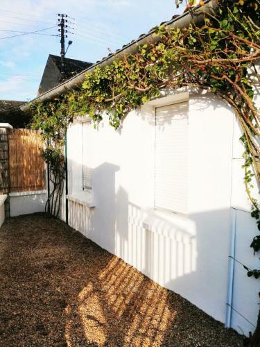Apartamento Studio Cosy Bienvenue Chez Elle