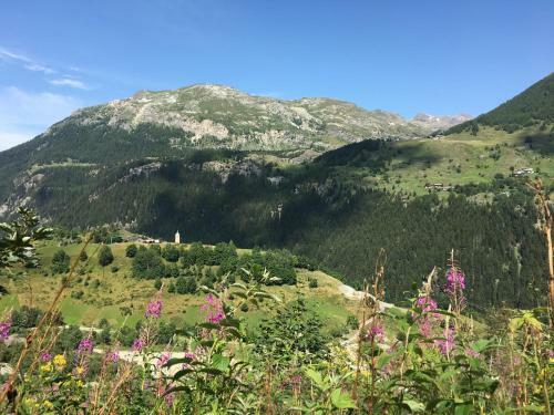 Chalet Altus