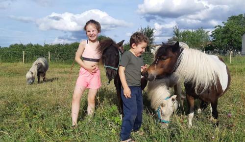 Jardin Du Lot & Carotte