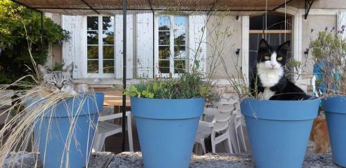 Jardin Du Lot & Carotte