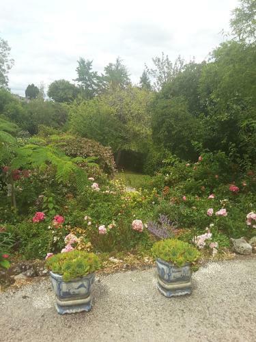Bed & Breakfast La Maison Des Thermes, Chambre D'h�te