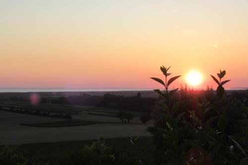 Le Panorama Entre Vignobles Et Estuaire