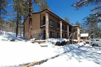 Motel In The Pines