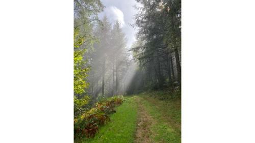 Apartamento Appartement Aux Sources De La Chabanne