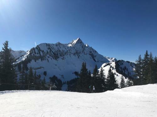 Apartamento Studio 4 Personnes Pieds Des Pistes