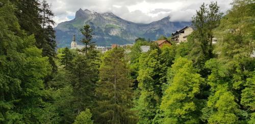 Apartamento El�gant Et Moderne, Au Pied Du Mont-blanc