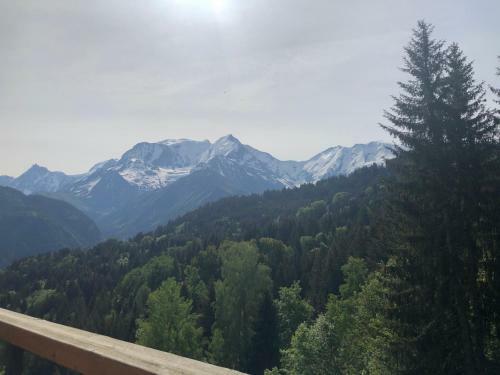 Apartamento Studio Turquoise Quartier Grattague Vue Montblanc
