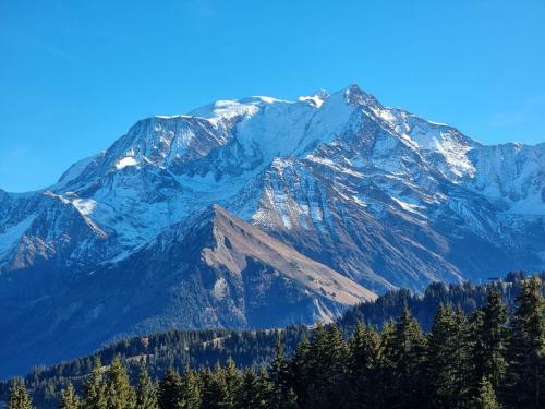 Apartamento Vue Mont Blanc Exceptionnelle