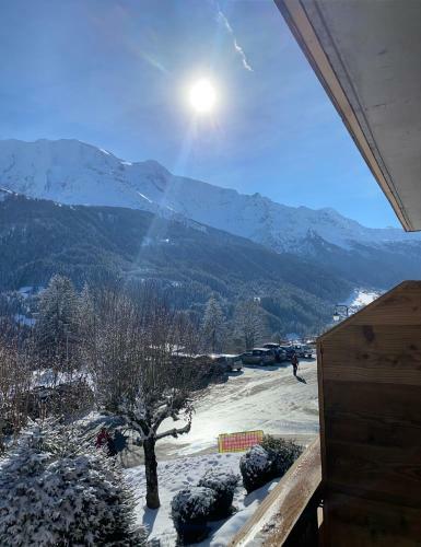 Apartamento Appartement Chalet Montjoye