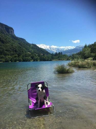 Apartamento Le R�ve De Lou Et Balou
