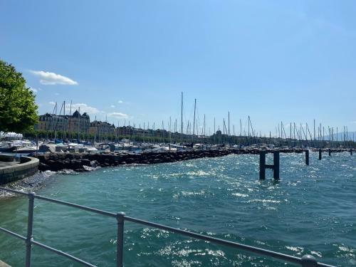 Savoie Hotel Aux Portes De Gen�ve