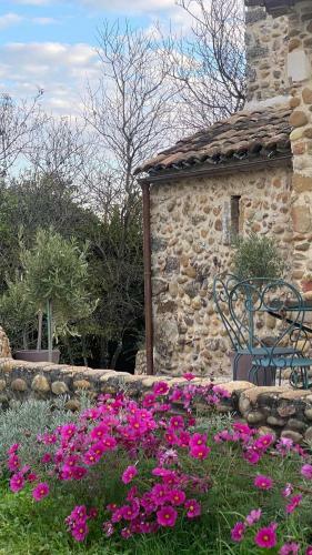 Apartamento Ard�che - Nia - Studio �quip�