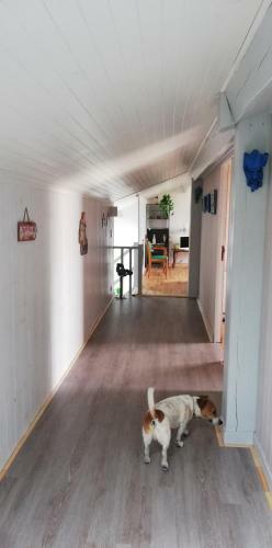 Apartamento Keur Sophie
