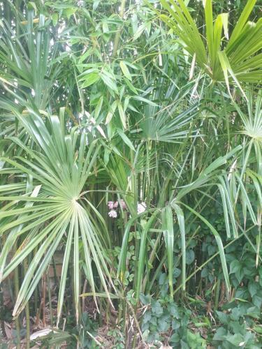 L?escale C�t� Jardin