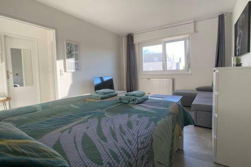 Apartamento Studio William