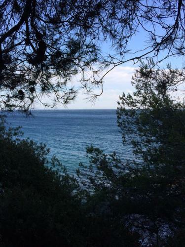 Bed & Breakfast Les Bruyeres