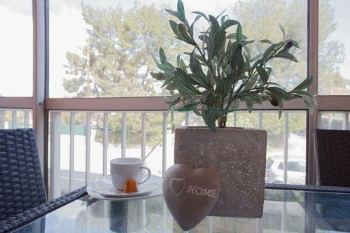 Apartamento Beau T2 Tout �quip� Bord De Mer