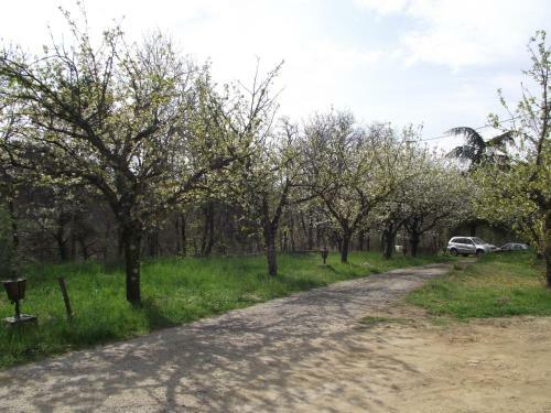 Domaine Des Cigales, G�te Les C�dres