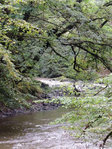 G�te De Pleine Nature En Dordogne