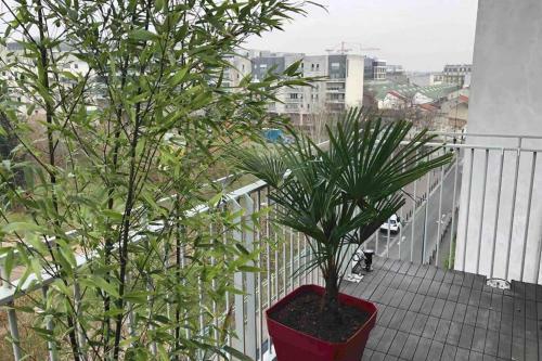Apartamento Fratellini 3 Bedroom Bright And Design