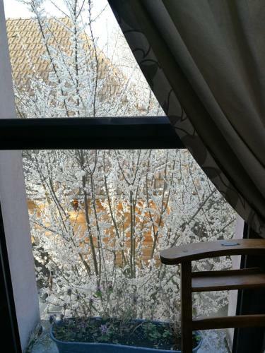 Hostal Un Verger Dans La Ville