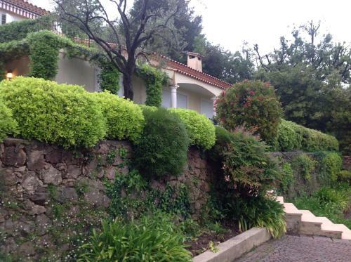 Luxurious Sea View Villa In Saint Paul De Vence