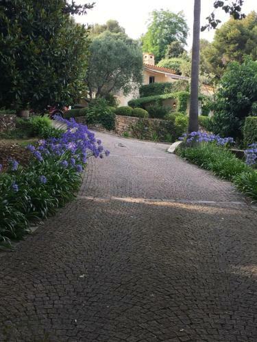 Luxurious Sea View Villa In Saint Paul De Vence