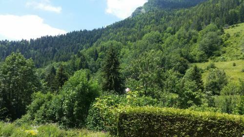 Apartamento Le Bois Des Li�vres