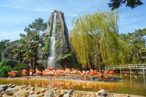 Bed & Breakfast Chambre D'h�tes Et G�te Olympe 4 �toiles