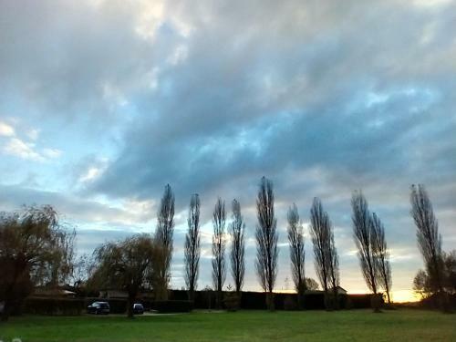 Domaine Des Epinettes