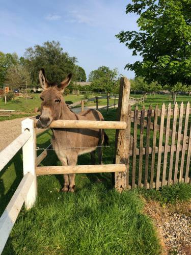 Gite La Ferme Du Mahiel C�t� La Grande �table