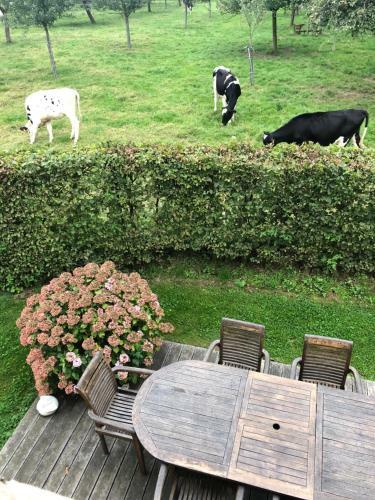 Gite La Ferme Du Mahiel C�t� La Grande �table